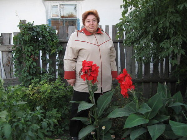 Есть ли цветок канна Есть ли цветок канна