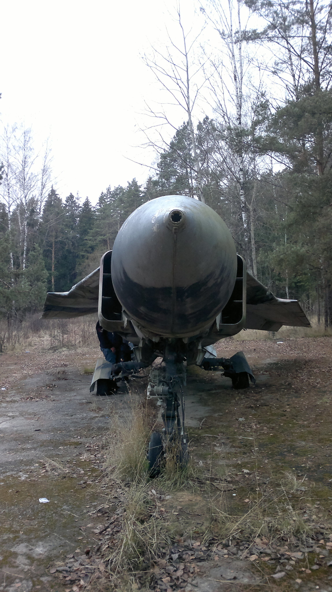 h-1145.jpg