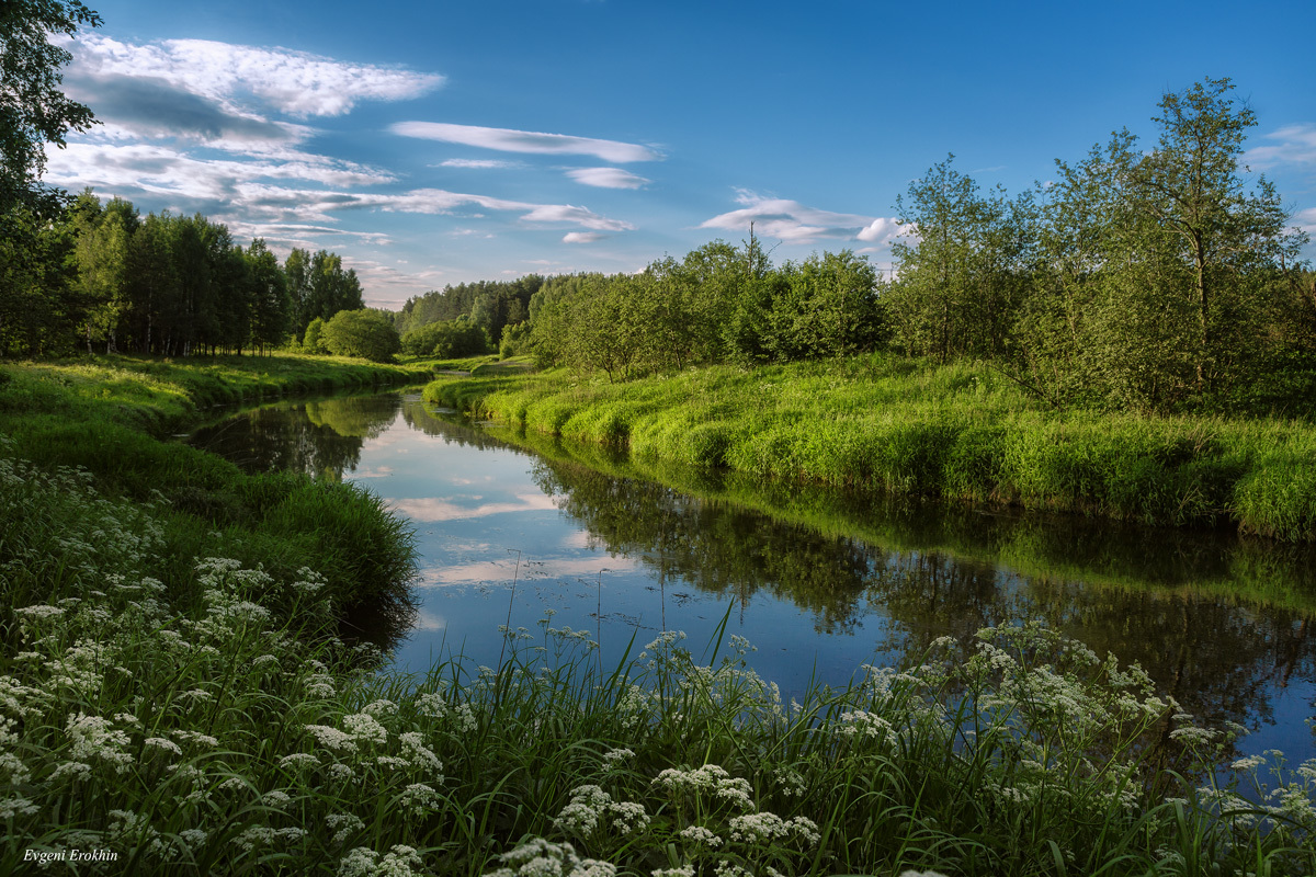 Мир природы (World of Nature) - Page 3 H-4272