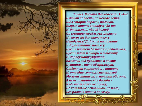 Посадил вишню стих Посадил вишню стих