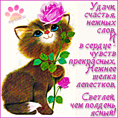 Поздравления удачи и везения 13