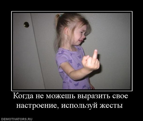 http://content.foto.my.mail.ru/mail/wolkoff77/_answers/i-762.jpg