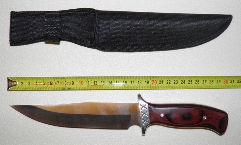 h-516.jpg