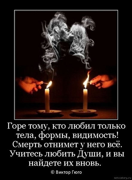 Остап Бендер (стр.3) / Цитаты / Цитаты. Высказывания. Афоризмы Новогодний топиарий своими руками: мастер-классы и советы флориста