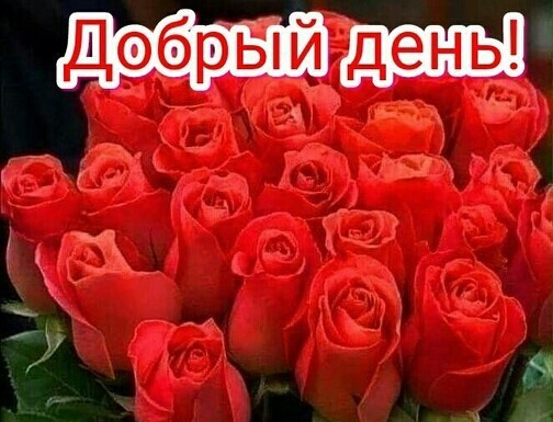 Картинки прекрасного понедельника и хорошего дня