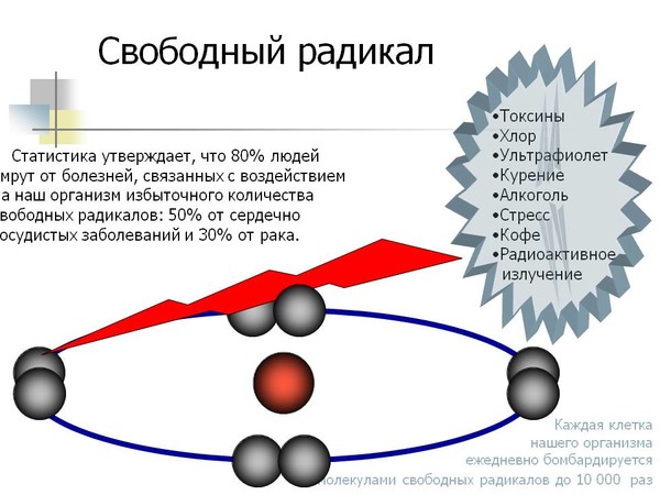 Радикал eCookie.ru