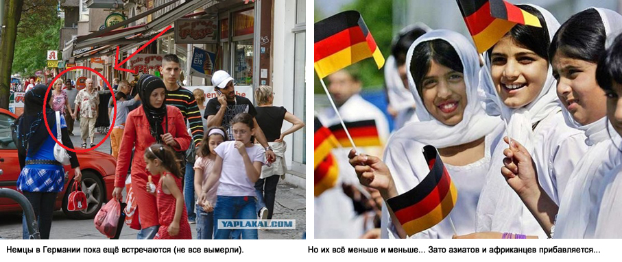 В германии друзья есть. Европейцы это кто. За белую Европу. В связи с чем в 20 ВВ Европу стали приезжать африканцы и азиаты.