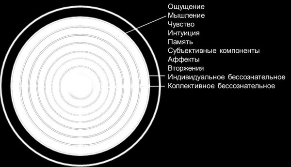 Проект точка сборки