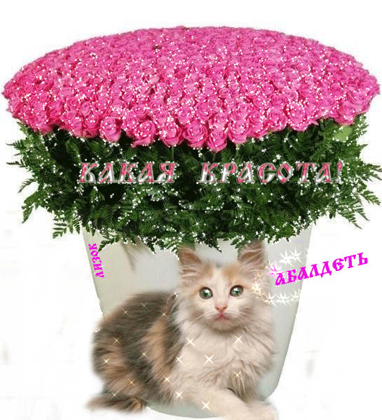Ух ты какая красота открытки, открытка