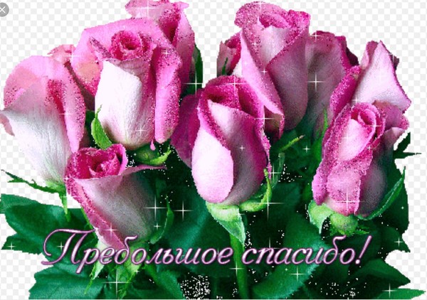 Цветы маме гифы