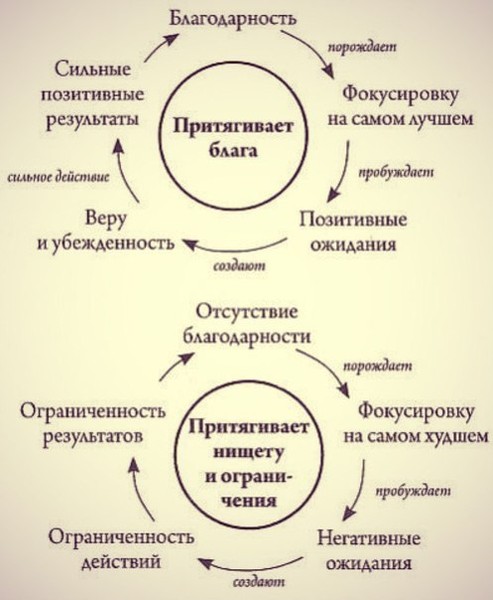 Тяжелые времена рождают сильных котят