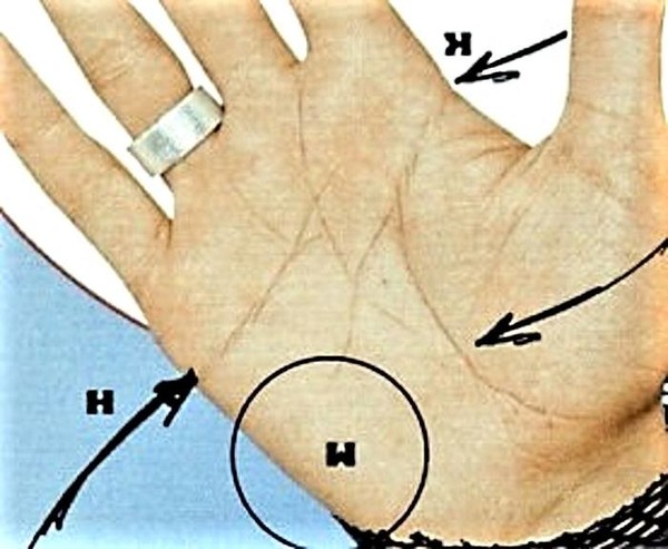 Что означает м ж. Буква м на ладони. Буква м на ладони левой. Хиромантия буква м на ладони. Линии на руке буквой м.