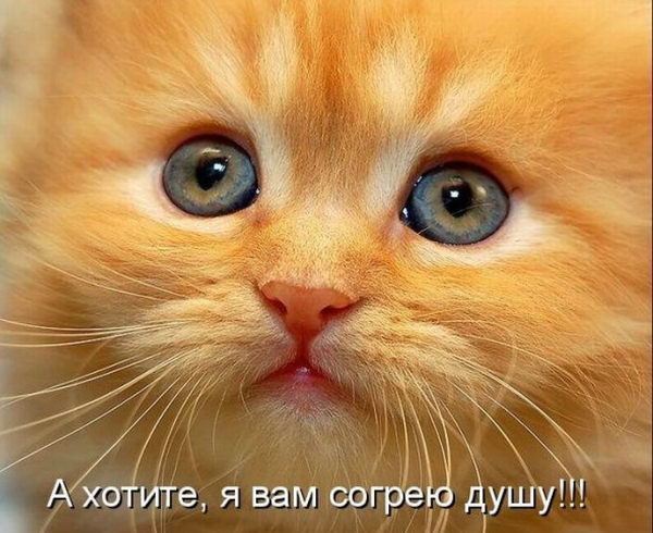 Я ПОДОЙДУ К ТЕБЕ ПРОСТО СКАЖУ ТЕБЕ НАГЛО ПРИВЕТ СКАЧАТЬ БЕСПЛАТНО Я ПОДОЙДУ К ТЕБЕ ПРОСТО СКАЖУ ТЕБЕ НАГЛО ПРИВЕТ СКАЧАТЬ БЕСПЛАТНО