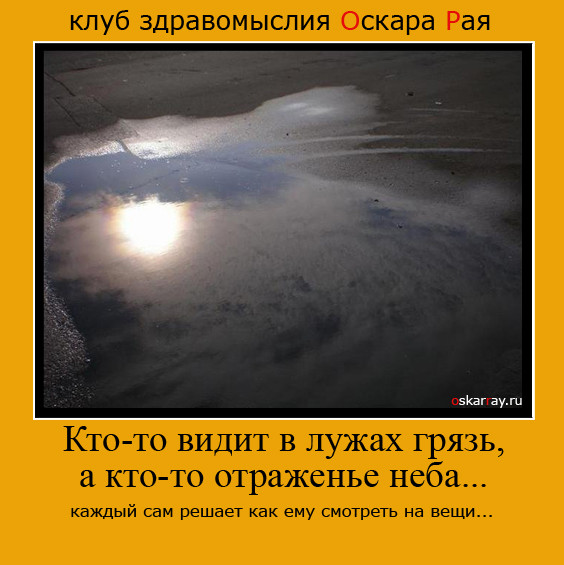 Картинки в лужах стих