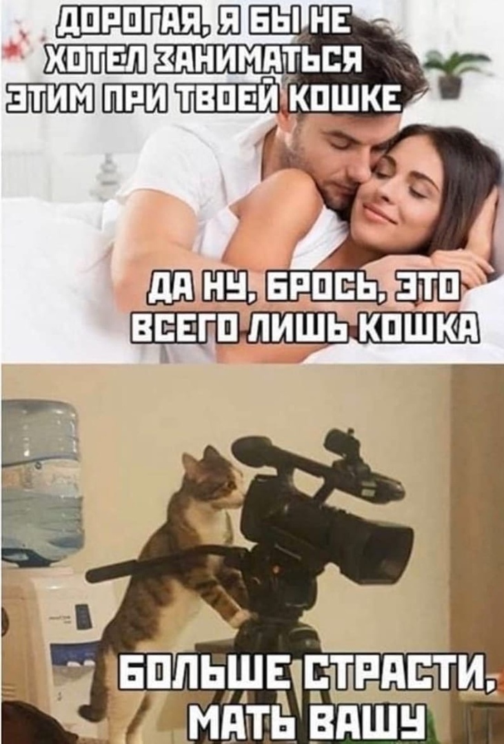 h-385.jpg