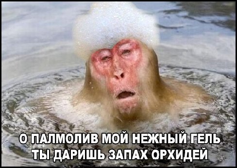 Посмеялся сам - поделись с другом!!!