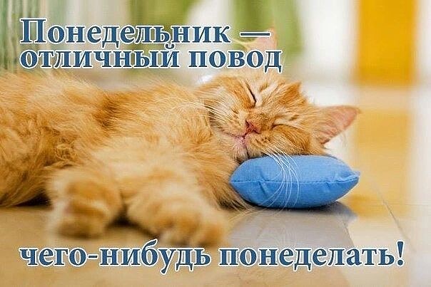 https://content.foto.my.mail.ru/community/amour1/_groupsphoto/h-27587.jpg