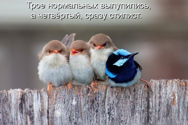 http://content.foto.my.mail.ru/community/amour1/_groupsphoto/i-25950.jpg