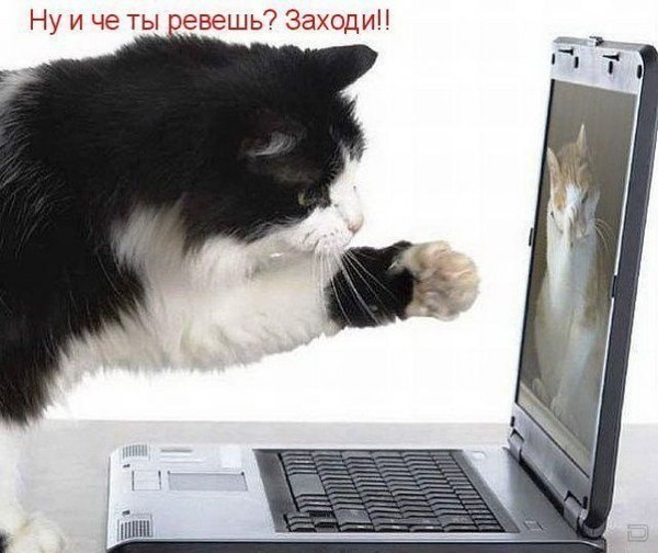 http://content.foto.my.mail.ru/community/amour1/_groupsphoto/i-4212.jpg