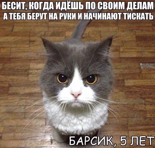 https://content.foto.my.mail.ru/community/be_in_facion/_groupsphoto/h-77577.jpg