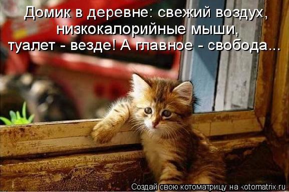 http://content.foto.my.mail.ru/community/bezkota/_groupsphoto/i-34515.jpg