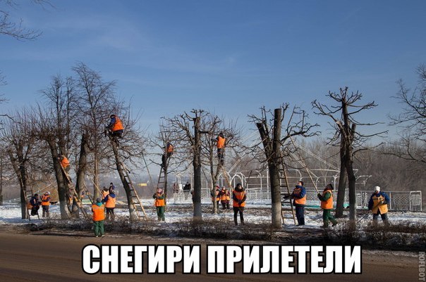 https://content.foto.my.mail.ru/community/born-in-ussr_/_groupsphoto/h-10899.jpg