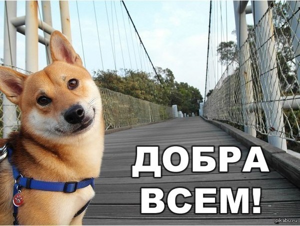 http://content.foto.my.mail.ru/community/daily_humor/_groupsphoto/i-113.jpg