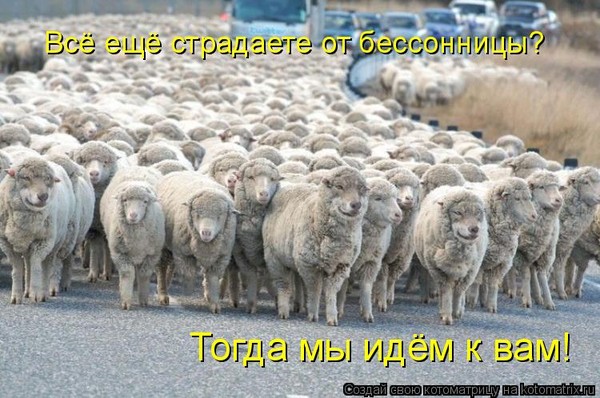 http://content.foto.my.mail.ru/community/daily_humor/_groupsphoto/i-250.jpg