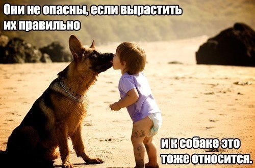 http://content.foto.my.mail.ru/community/daily_humor/_groupsphoto/i-5389.jpg