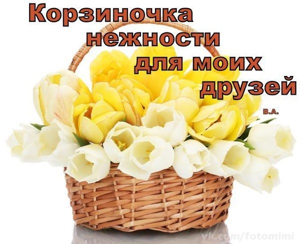 http://content.foto.my.mail.ru/community/dladuhi/_groupsphoto/h-17555.jpg