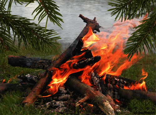 Горящий костер. Анимированный костер. Огонь на природе. Костер в лесу. Включи горит огня