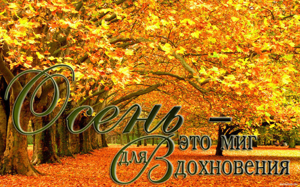 https://content.foto.my.mail.ru/community/dladuhi/_groupsphoto/h-27064.jpg