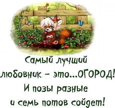 http://content.foto.my.mail.ru/community/dladuhi/_groupsphoto/i-24310.jpg