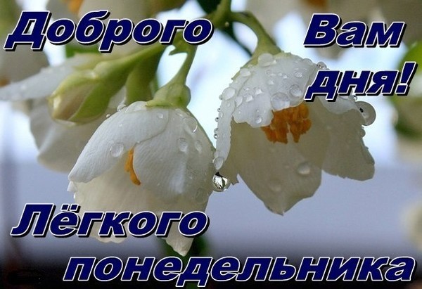 https://content.foto.my.mail.ru/community/dladuhi/_groupsphoto/i-26120.jpg