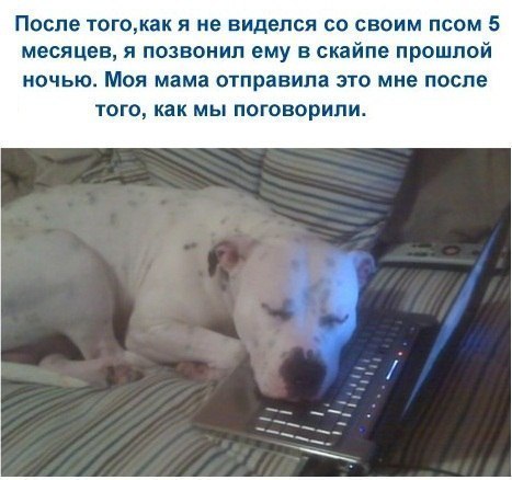 http://content.foto.my.mail.ru/community/feed_brain/_groupsphoto/h-363.jpg