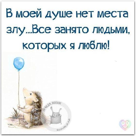 http://content.foto.my.mail.ru/community/feed_brain/_groupsphoto/h-45431.jpg