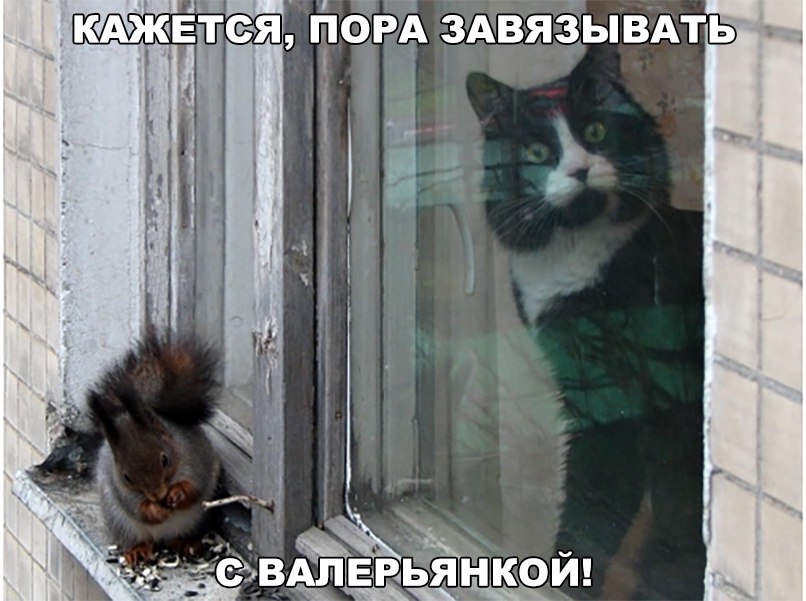 Название