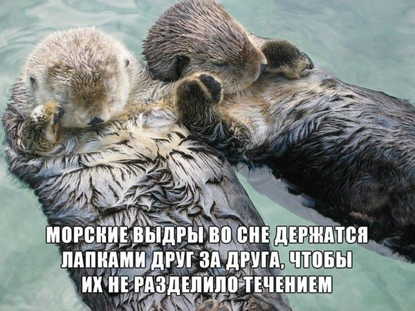 http://content.foto.my.mail.ru/community/goodfakts/_groupsphoto/i-189.jpg