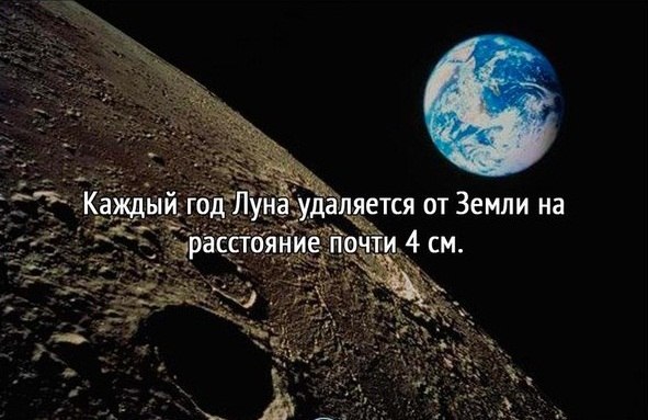 https://content.foto.my.mail.ru/community/interseting_facts_/_groupsphoto/h-2519.jpg