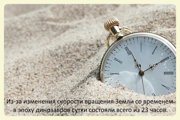 http://content.foto.my.mail.ru/community/interseting_facts_/_groupsphoto/h-2902.jpg