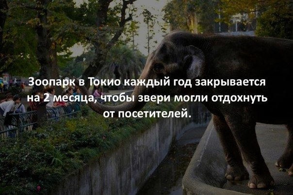 https://content.foto.my.mail.ru/community/interseting_facts_/_groupsphoto/h-45978.jpg