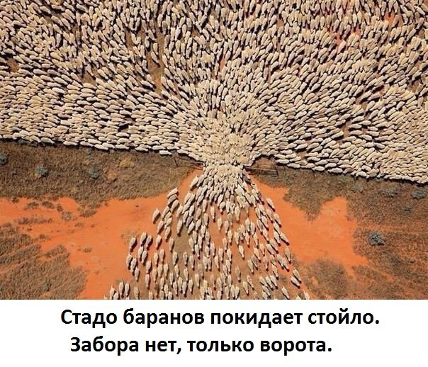 https://content.foto.my.mail.ru/community/interseting_facts_/_groupsphoto/h-857.jpg