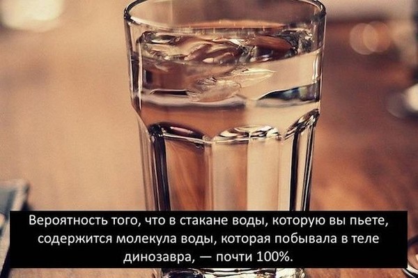 https://content.foto.my.mail.ru/community/interseting_facts_/_groupsphoto/i-3830.jpg