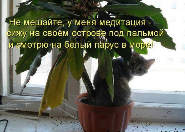 https://content.foto.my.mail.ru/community/laugh_humor/_groupsphoto/h-10162.jpg