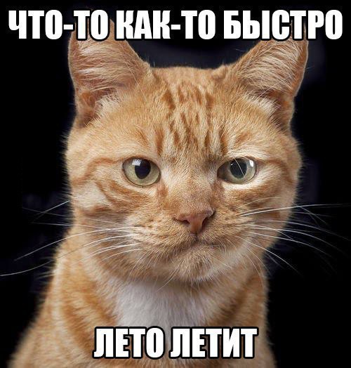 https://content.foto.my.mail.ru/community/laugh_humor/_groupsphoto/h-11883.jpg