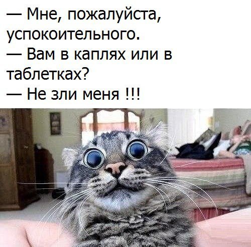 https://content.foto.my.mail.ru/community/laugh_humor/_groupsphoto/h-118851.jpg