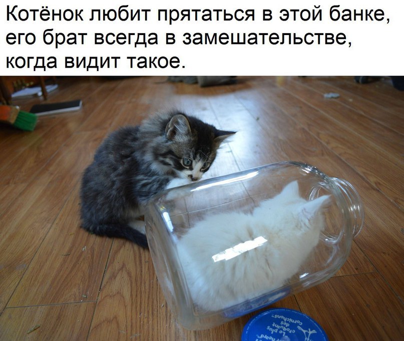 https://content.foto.my.mail.ru/community/laugh_humor/_groupsphoto/h-134266.jpg