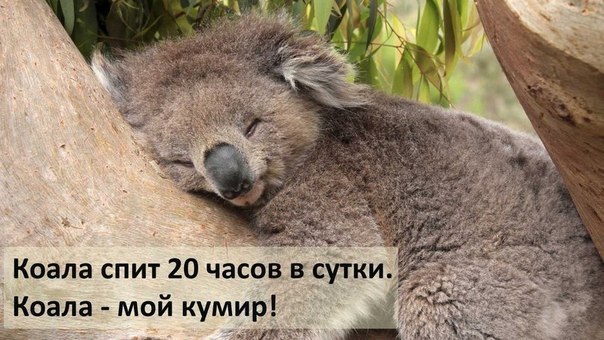 https://content.foto.my.mail.ru/community/laugh_humor/_groupsphoto/h-2479.jpg