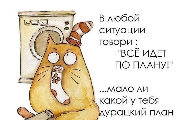 https://content.foto.my.mail.ru/community/laugh_humor/_groupsphoto/h-2612.jpg