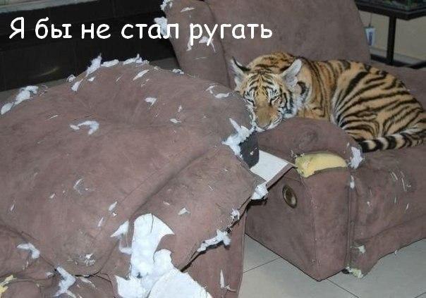 https://content.foto.my.mail.ru/community/laugh_humor/_groupsphoto/h-2812.jpg